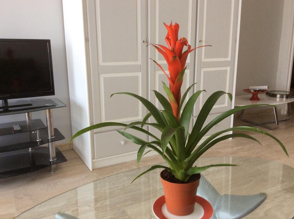 Appartement Dolce Vita Cagnes-sur-Mer Værelse billede